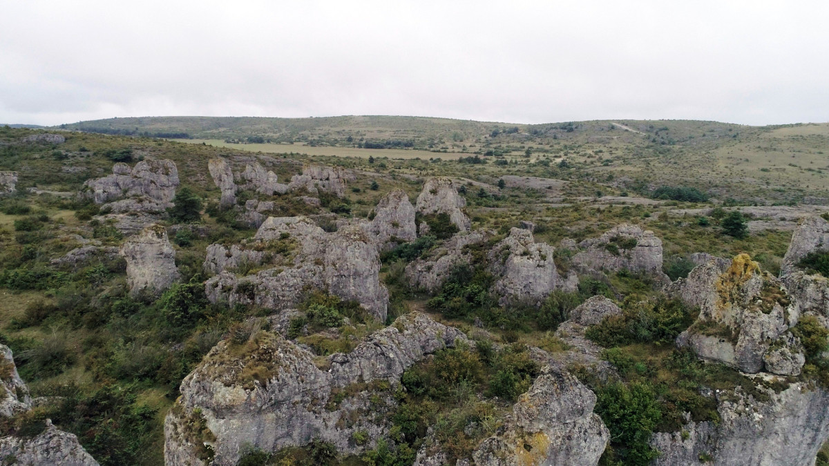 Documentaire, Larzac, contestation, histoire, Humanité