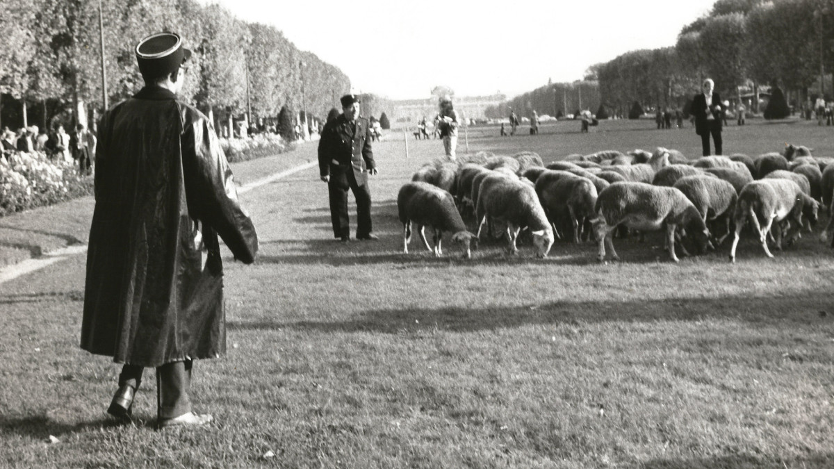 Documentaire, Larzac, contestation, histoire, Humanité