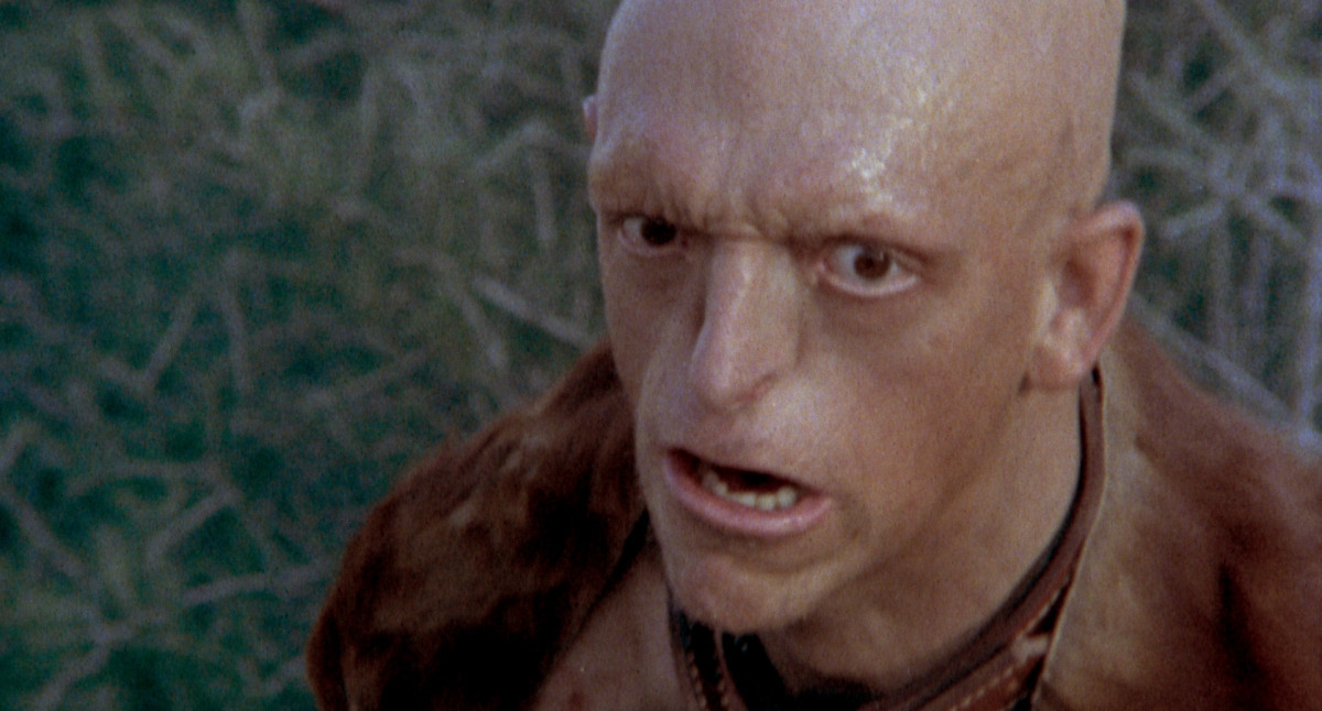 Hurlequin, le ciné-club de Nicolas Martin : LA COLLINE A DES YEUX de Wes Craven