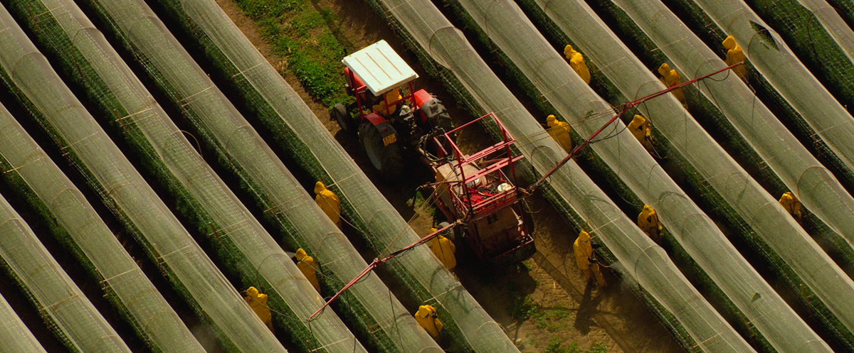 Documentaire, demain, écologie, solutions