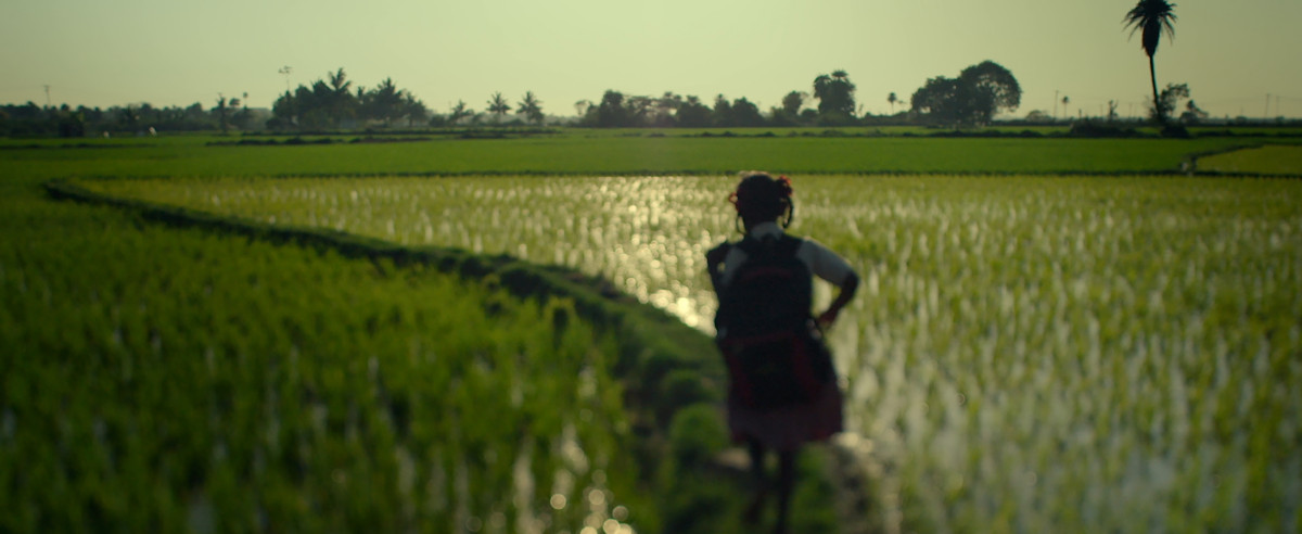 Documentaire, demain, écologie, solutions