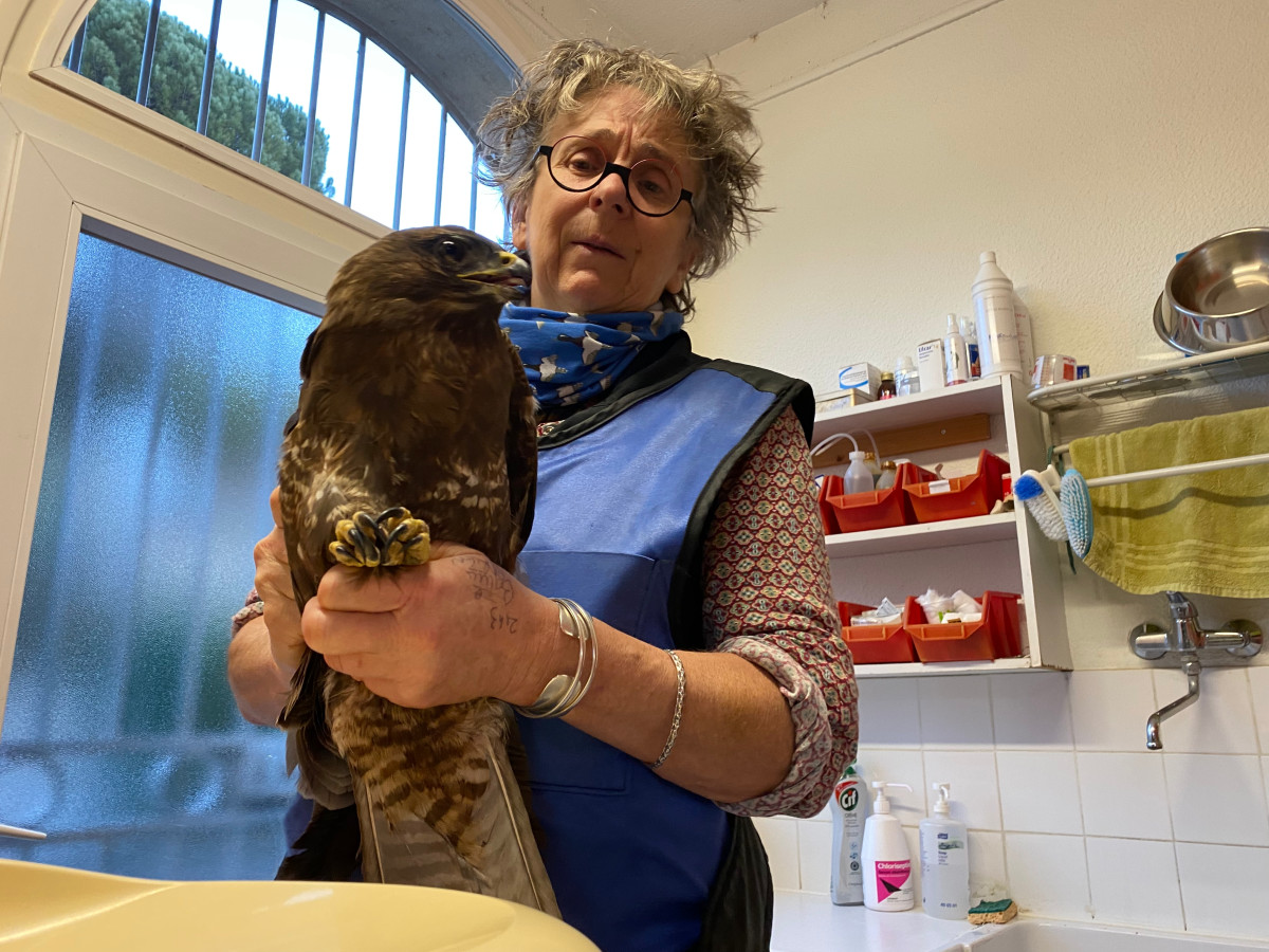 animus femina, documentaire, eliane de latour