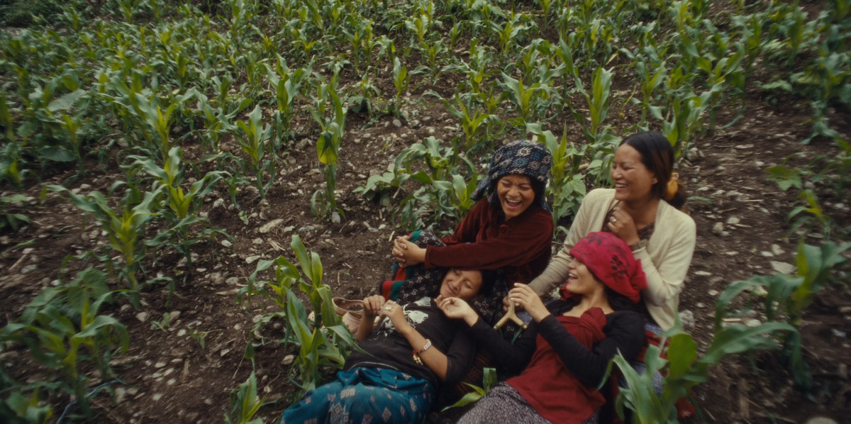 Katmandou, Nepal, Documentaire, Fratrie, Sororie, Alexander Murphy