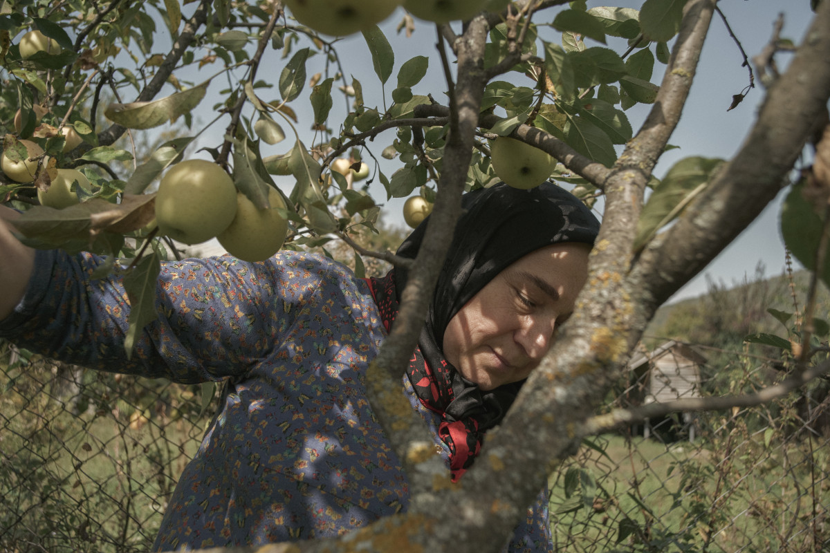 Imago, ACID, Géorgie, Documentaire