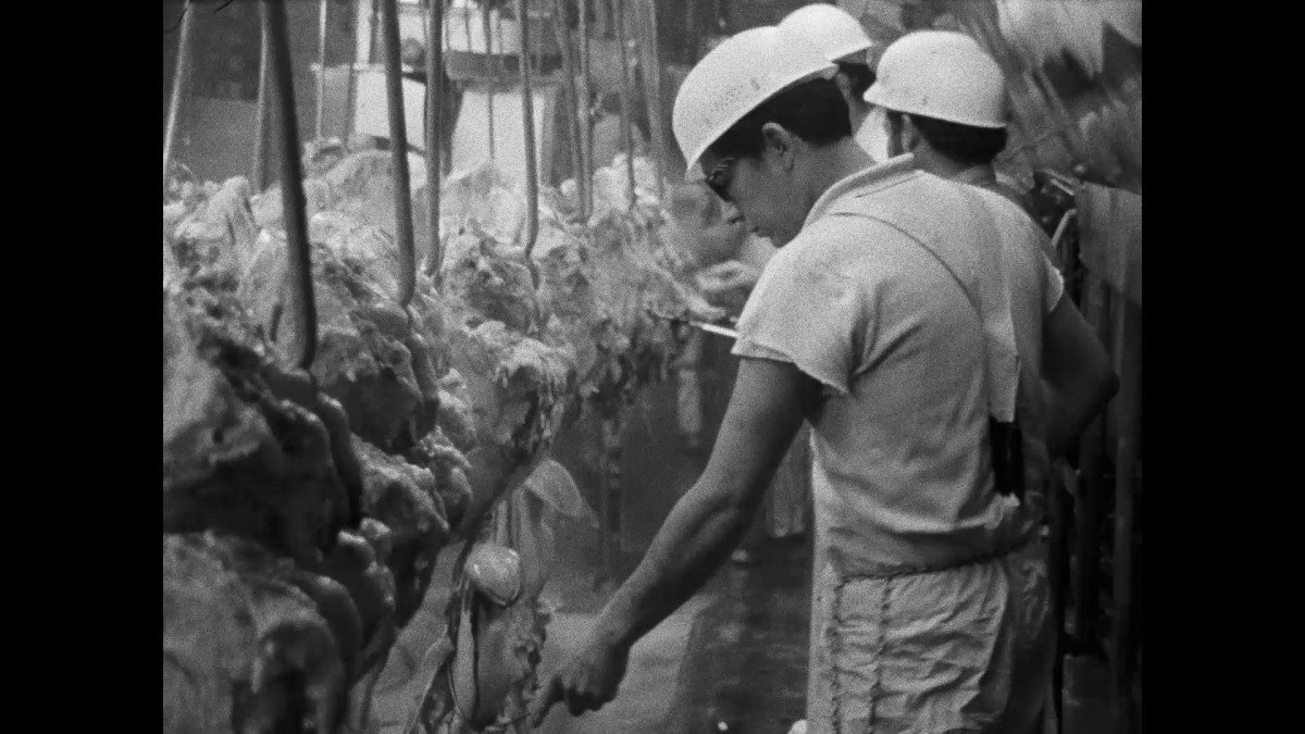 TOUJOURS PLUS... GORE rend hommage à Frederick Wiseman : MEAT présenté par Luc Moullet