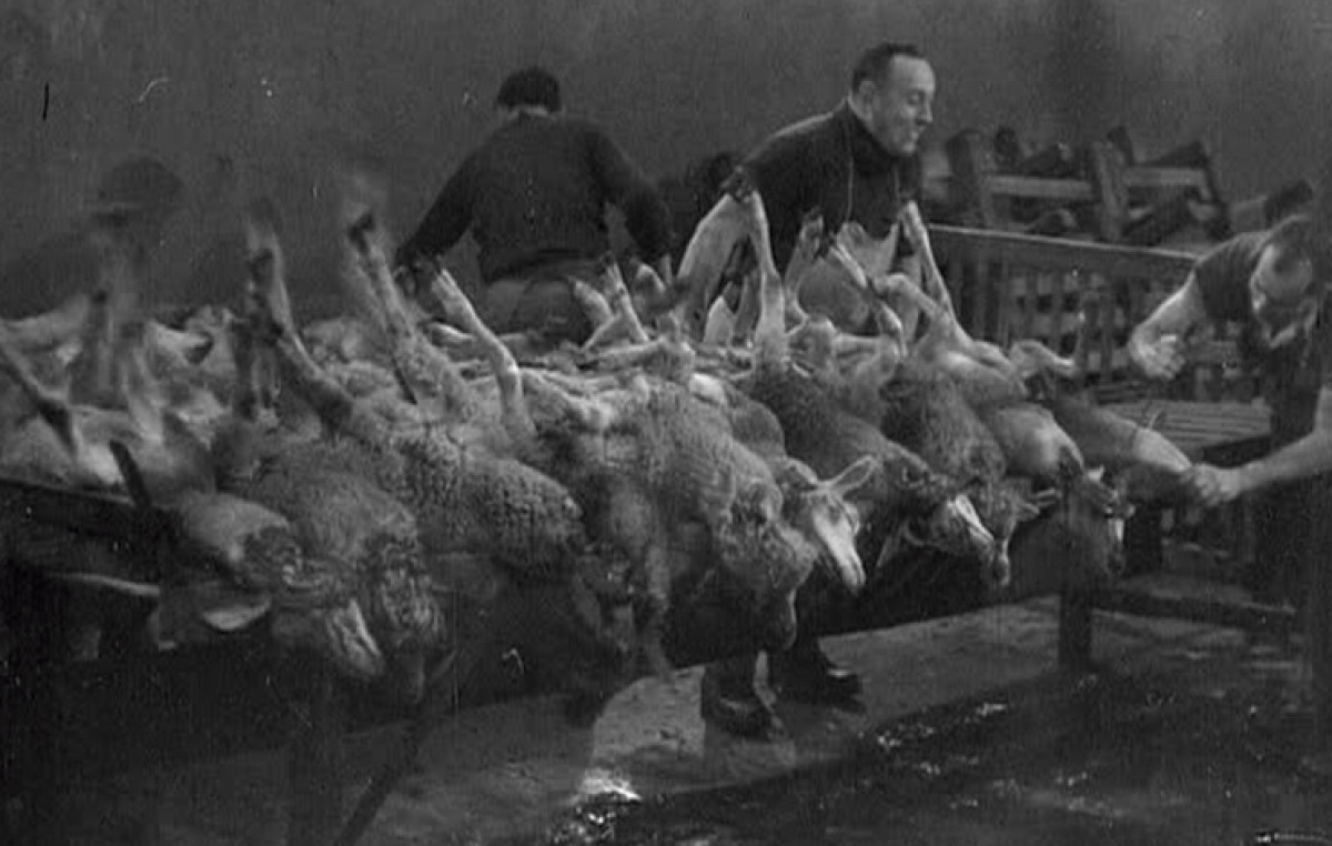 TOUJOURS PLUS... GORE "Une vraie boucherie" : Salò ou les 120 Journées de Sodome  présenté par Fabrice du Welz et suivie d'une discussion avec Julie Paquette