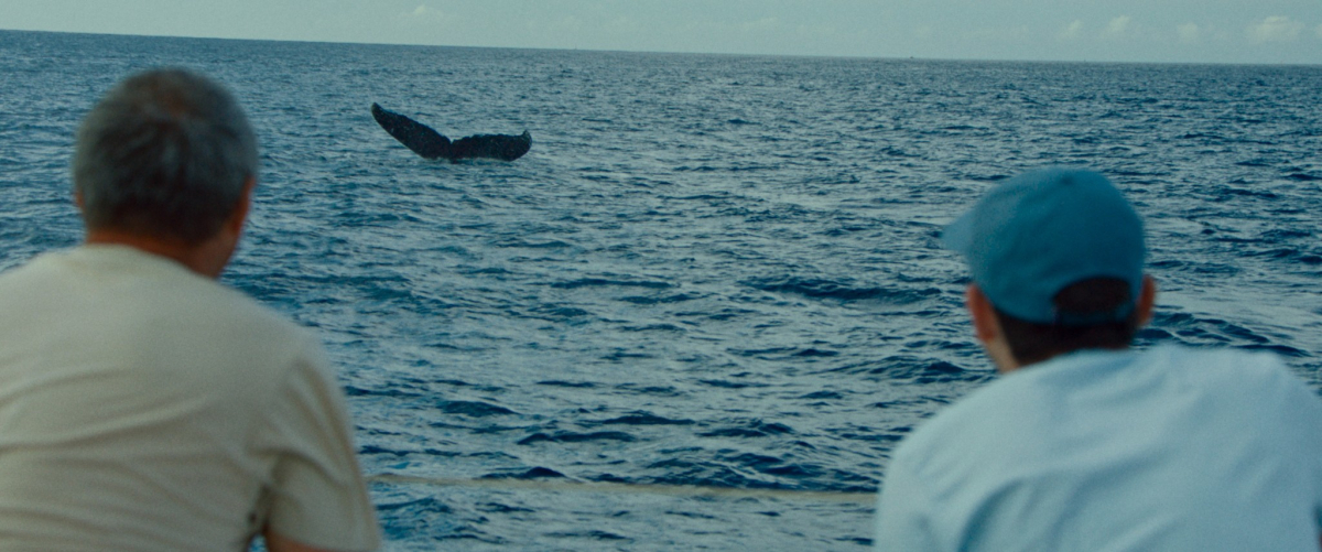 CINÉ RELAX : LA BALEINE ET LE MUSICIEN de Valentin Paoli 