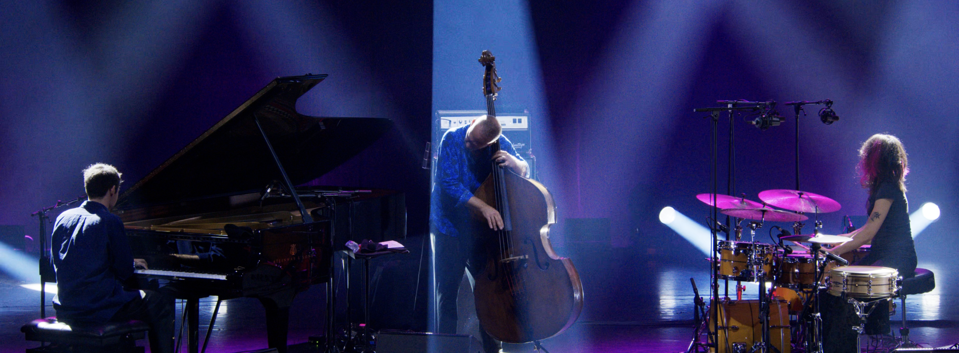 Avishai Cohen à l’Olympia ! Projections exceptionnelles à l'Arlequin