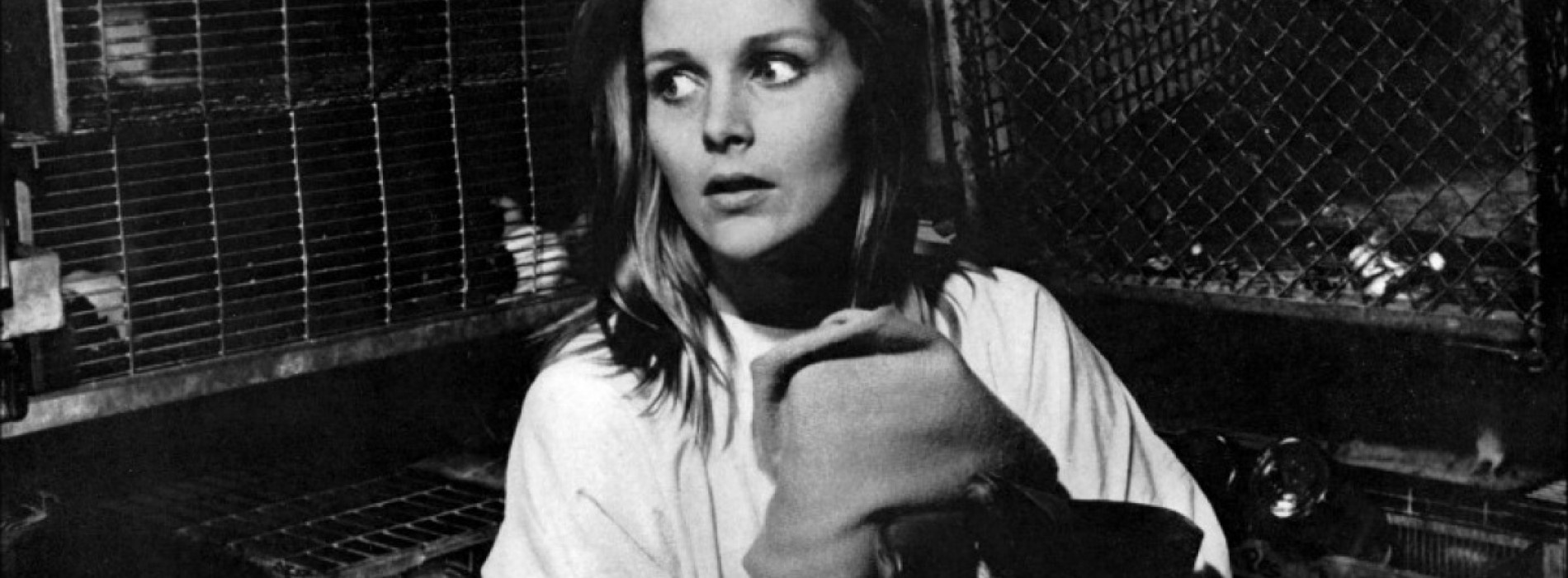 RENDEZ-VOUS #2 Olivier Minne présente BUNNY LAKE A DISPARU d'Otto Preminger - suivi d'une discussion 