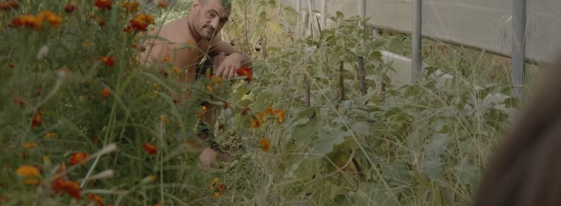 L'ÉCRAN DES DROITS : PRESQUE LIBRES d'Olivier Bertrand, suivi d'une discussion avec le réalisateur, Tarek Daher, délégué général d’Emmaüs France, et David Laureote, direction de l’Administration pénitentiaire