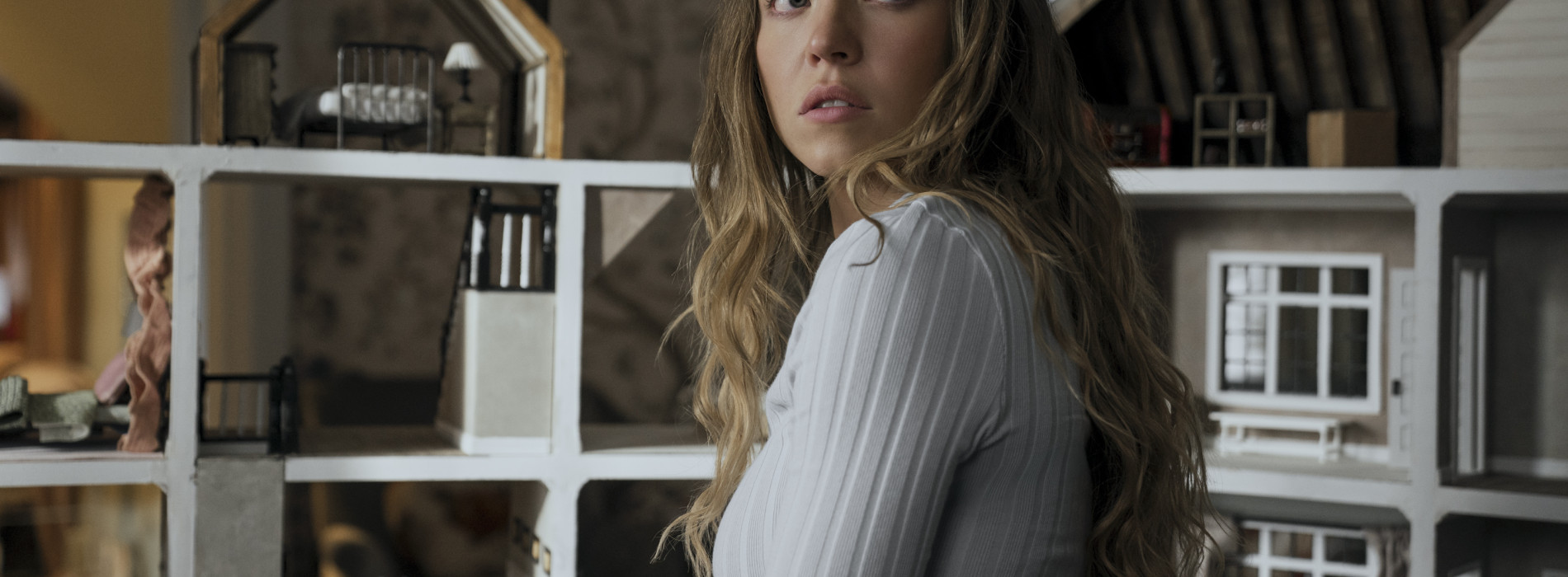 AVANT-PREMIÈRE : LA FEMME DE MÉNAGE de Paul Feig