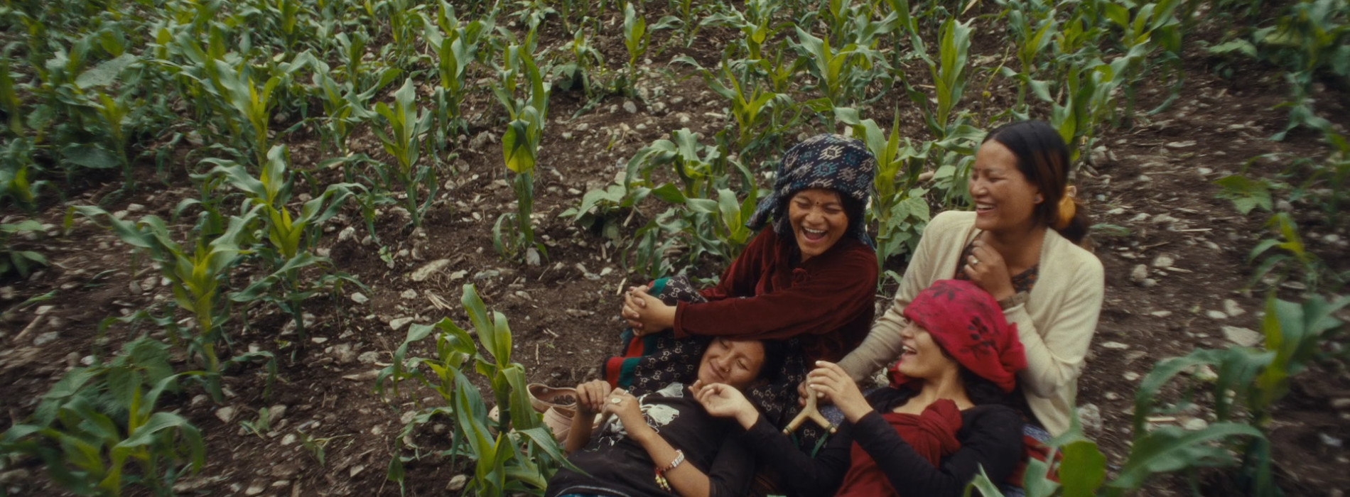 AVANT-PREMIÈRE : AU-DELÀ DE KATMANDOU d'Alexander Murphy, en présence du réalisateur et suivie d'un cocktail