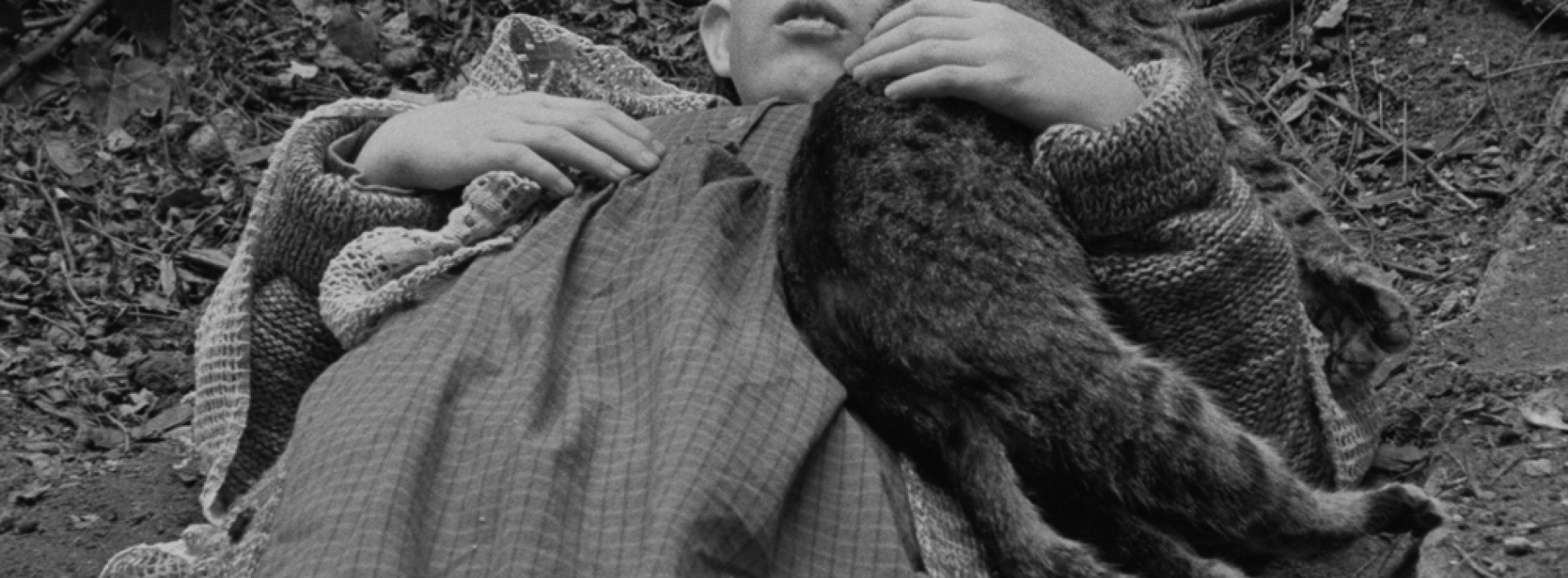 HOMMAGE À BÉLA TARR : DAMNATION, LES HARMONIES WERCKMEISTER, LE TANGO DE SATAN - PARTIES 1 À 3, L'OUTSIDER, LE NID FAMILIAL, L'HOMME DE LONDRES et LE CHEVAL DE TURIN