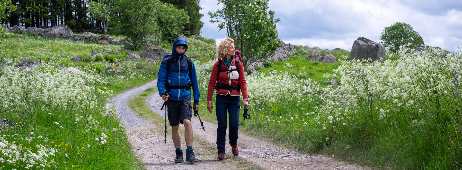 AVANT-PREMIÈRE : COMPOSTELLE de Yann Samuell