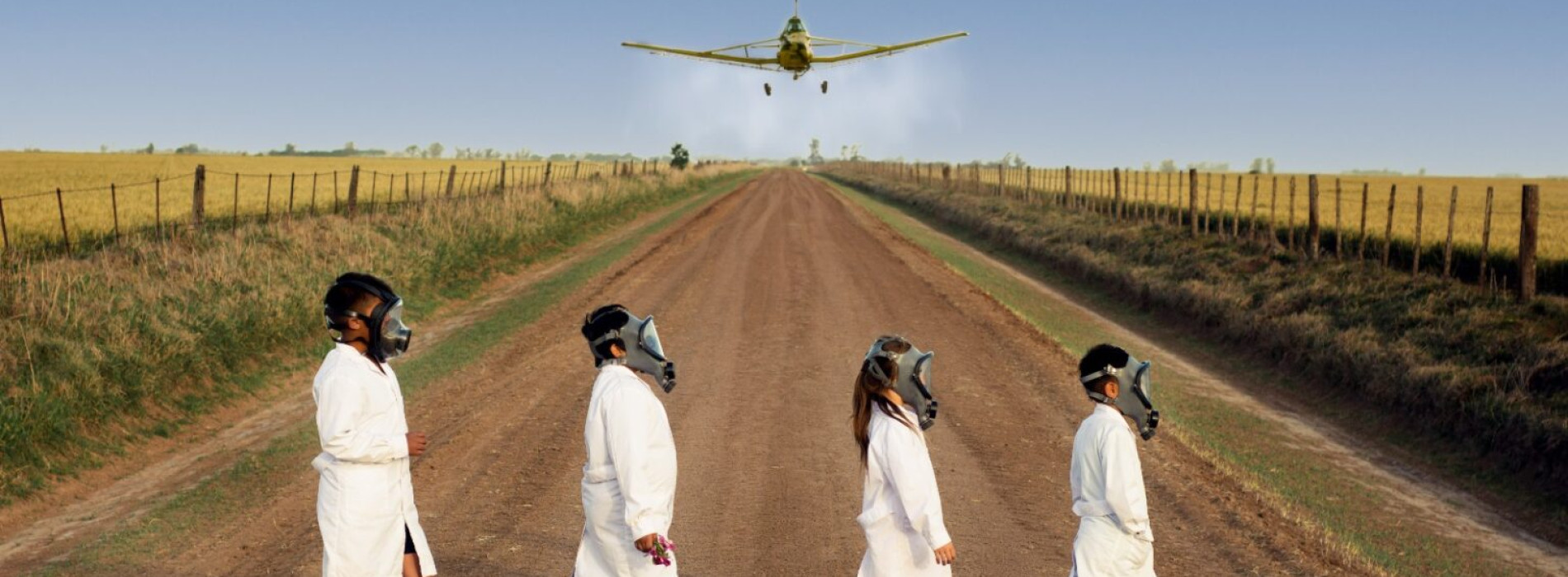 L'ÉCRAN DES DROITS n°7 - AVANT-PREMIÈRE : UNA CANCIÓN PARA MI TIERRA de Mauricio Albornoz Iniesta