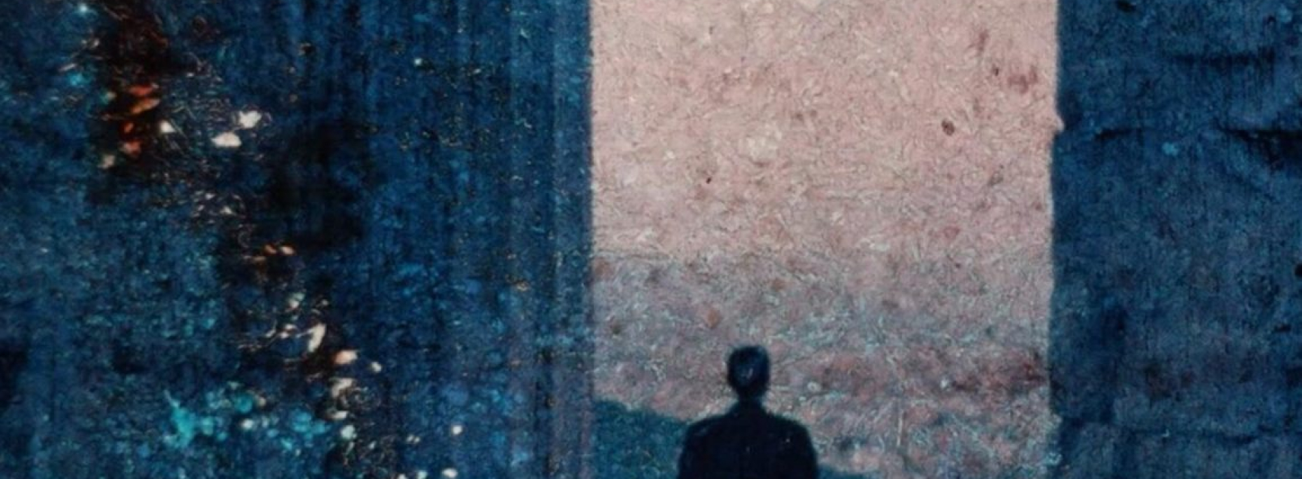 SÉANCE SPÉCIALE "Trannoy, Chabrol et moi" : L'OEUVRE INVISIBLE d'Avril Tembouret et Vladimir Rodionov, suivie d'une rencontre avec François Berléand et Avril Tembouret