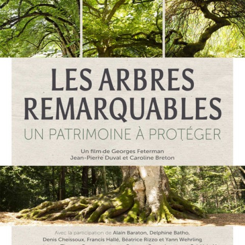 Long métrage documentaire, "Les Arbres Remarquables - Un patrimoine à protéger" nous emmène à travers la France métropolitaine et d'outre mer à la rencontre des monuments végétaux que sont les arbres remarquables...  Suivez Georges FETERMAN à la rencontre de ce patrimoine naturel qui a, aujourd'hui plus que jamais, besoin d'une reconnaissance et d'une protection contre les dérives climatiques et urbanistiques. La projection sera suivie d'un débat avec Georges FETERMAN.  Retrouvez le robinier du square René-