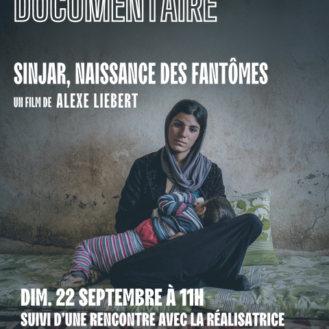 Sinjar, Yezidis, Documentaire
