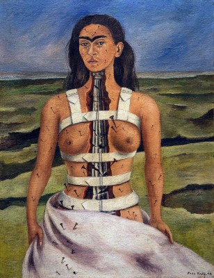 Exposition sur Grand Ecran, Exhibition on Screen, Frida Kahlo