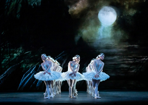 Le Lac des Cygnes, Ballet, Danse, Tchaïkovski, The Royal Ballet
