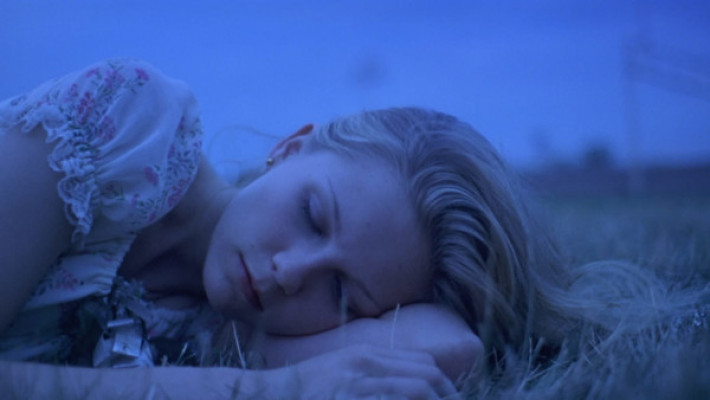 Virgin Suicides