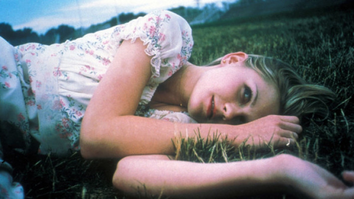 Virgin Suicides